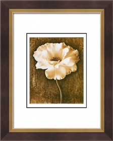 20x24inch Modern Art Paintings of Nature Flower picture frames 