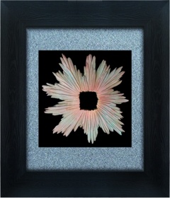 Classical Glass Shadow Box Frames Art 