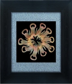 Classical Glass Shadow Box Frames Art 