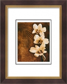20x24inch Modern Art Paintings of Nature Flower picture frames 