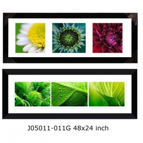 Display Three Paintings