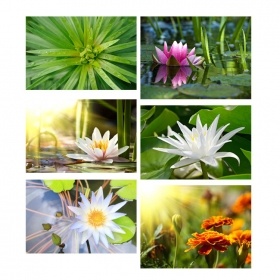 Custom Any Size Framed Float Canvas Art Prints Wall Paintings Hotel Project Artwork 